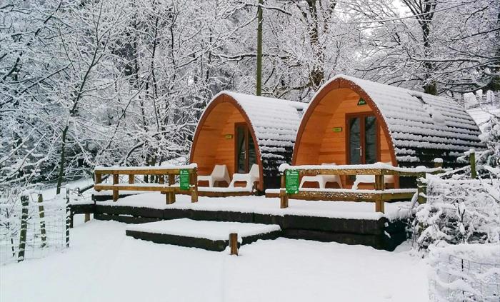 Wooden Pods